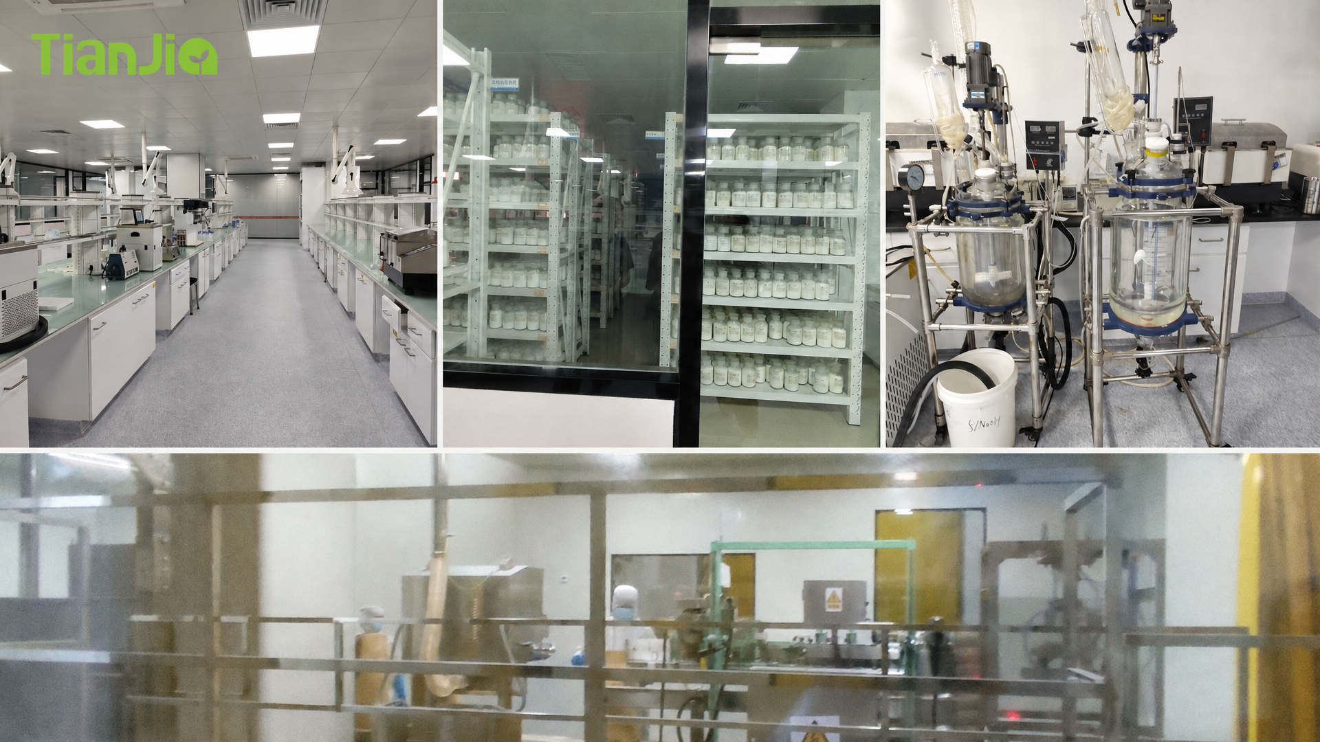 Standardization & Traceability