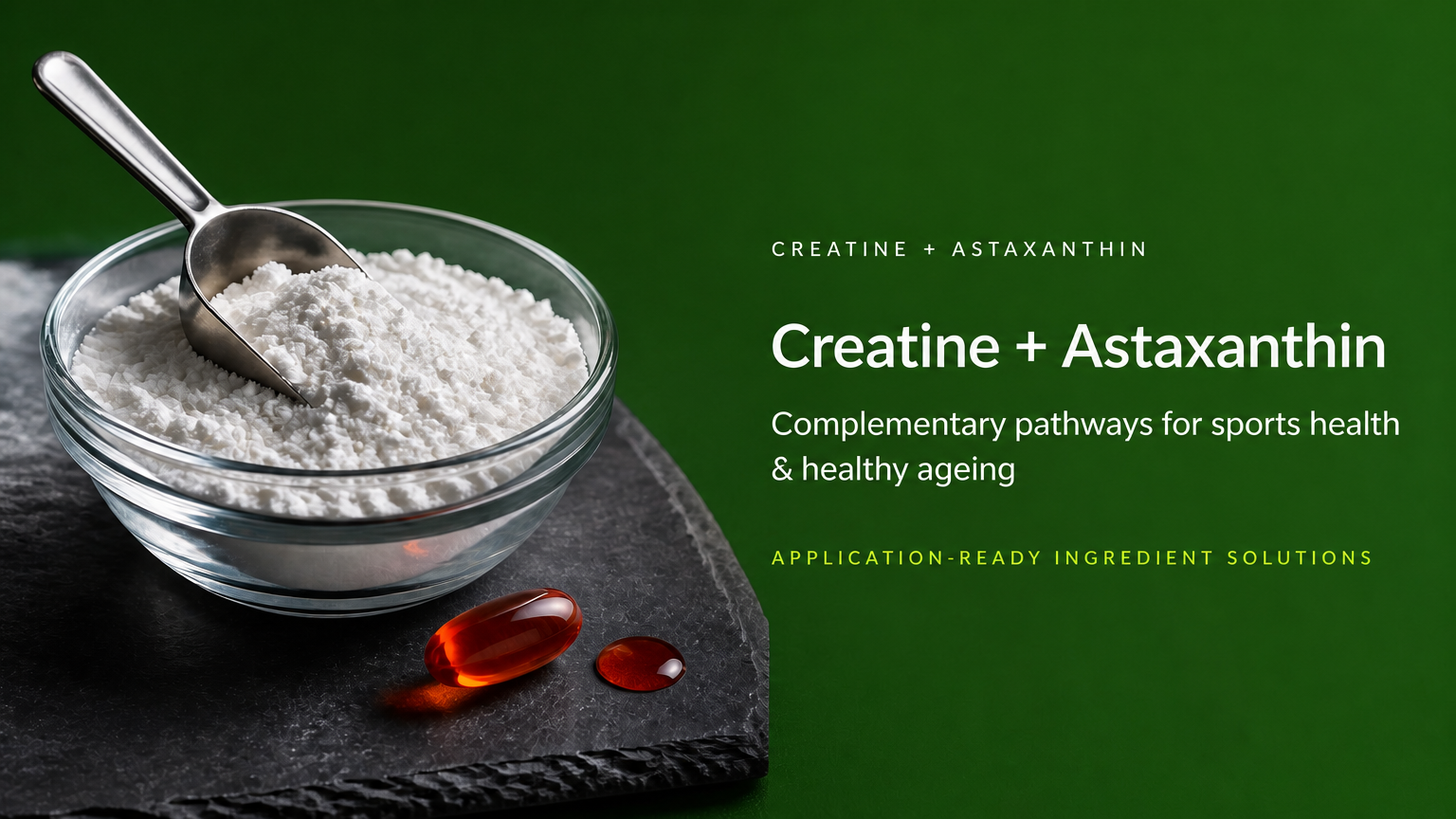 creatine and astaxanthin