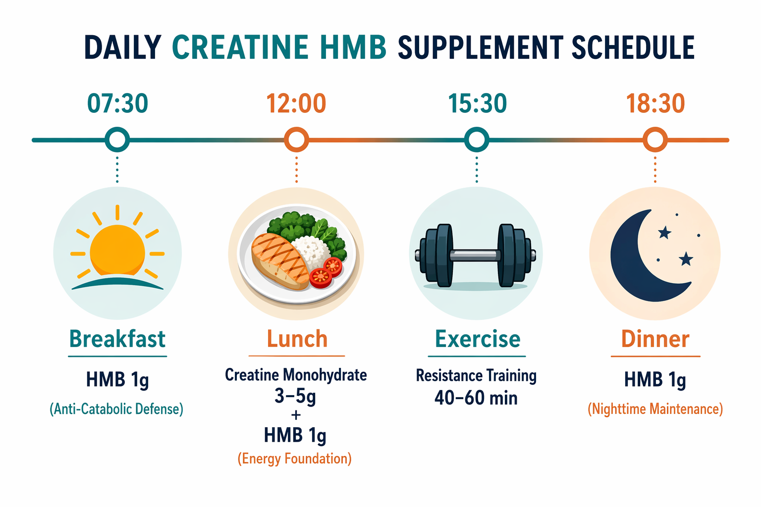 creatine hmb supplement