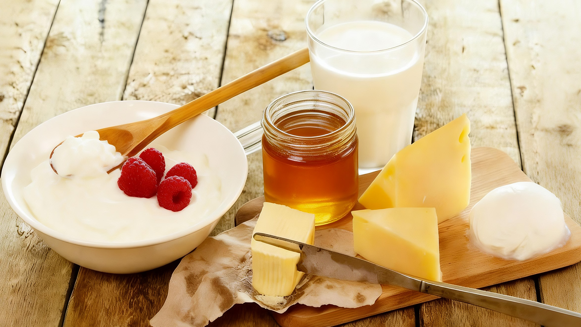 dairy ingredients supplier