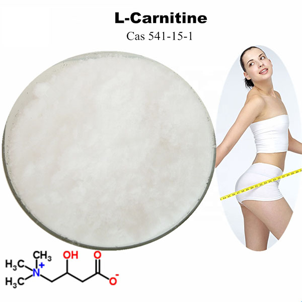 China Factory making Phosphoric Acid And Magnesium - Supplement Raw Material Powder L-carnitine – Tianjia factory and manufacturers