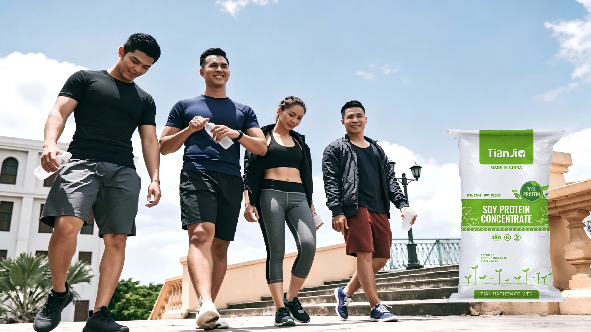 soy protein concentrate powder